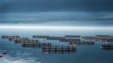 MARINE AQUACULTURE