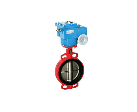 Explosion proof electric actuator / explosion proo